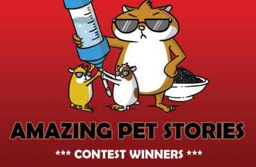 Amazing Pet Stories – Winners!