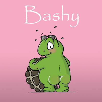 Bashy_Feature