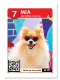 Dog_Mia_Card_web